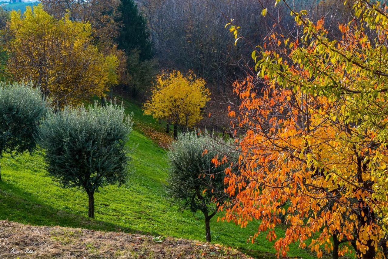 Holiday home La Casetta
